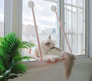 Cat hammock for window, Macrame Cat wall furniture/wall bed/wall shelf, window mounted cat bed with strong glass suctions cups