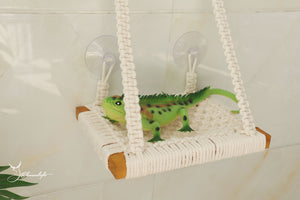 Macrame Reptile Hammock, Bearded Dragon/Leopard Gecko Glass Tank Wall bed/window perch, Boho small pet Swing Hammock with suction cups