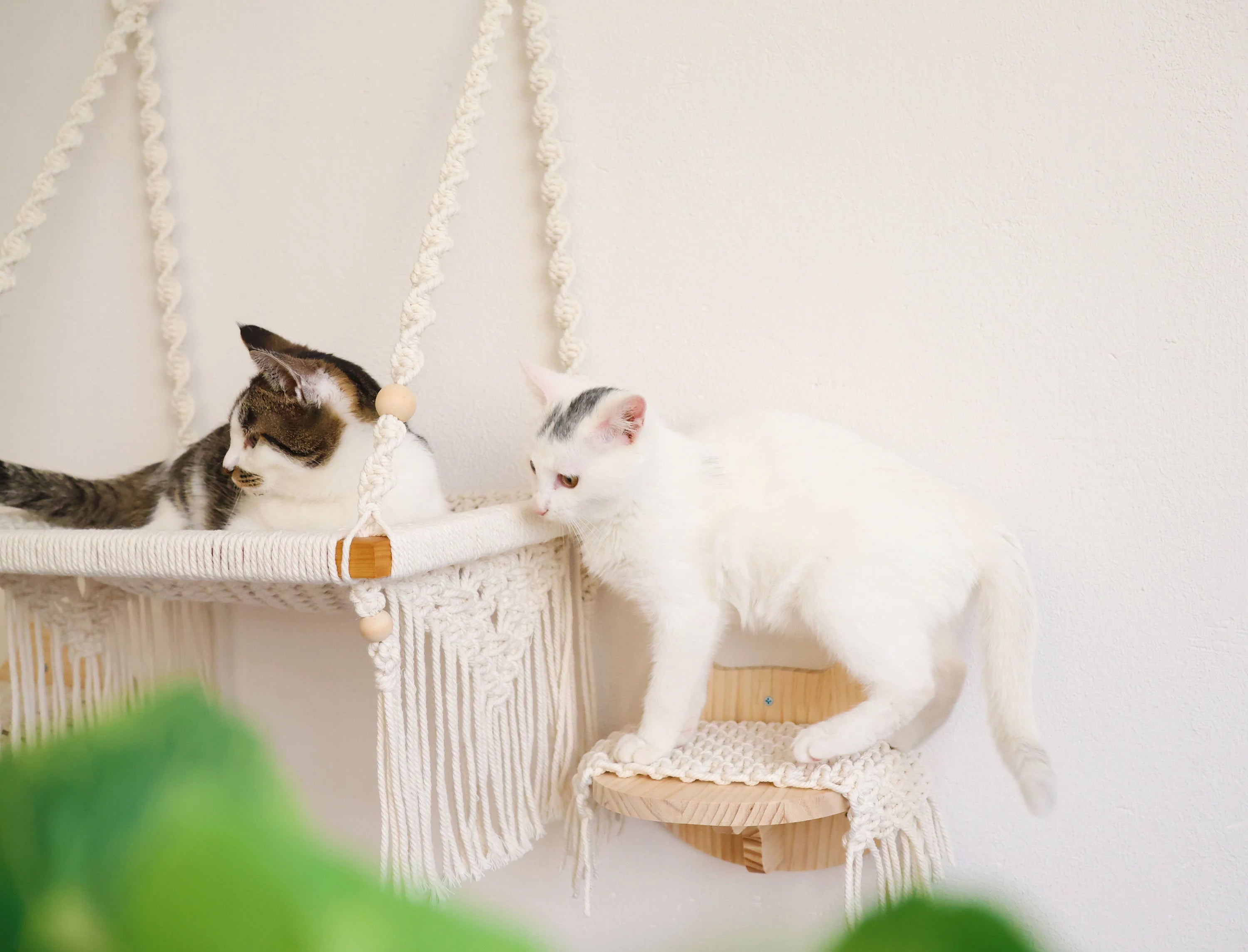 Cat Wall Steps with Macrame Mat, Solid wood Cat wall steps/wall Shelf/Cat wall furniture/Cat Tree, Cat wall bed/hammock accessory