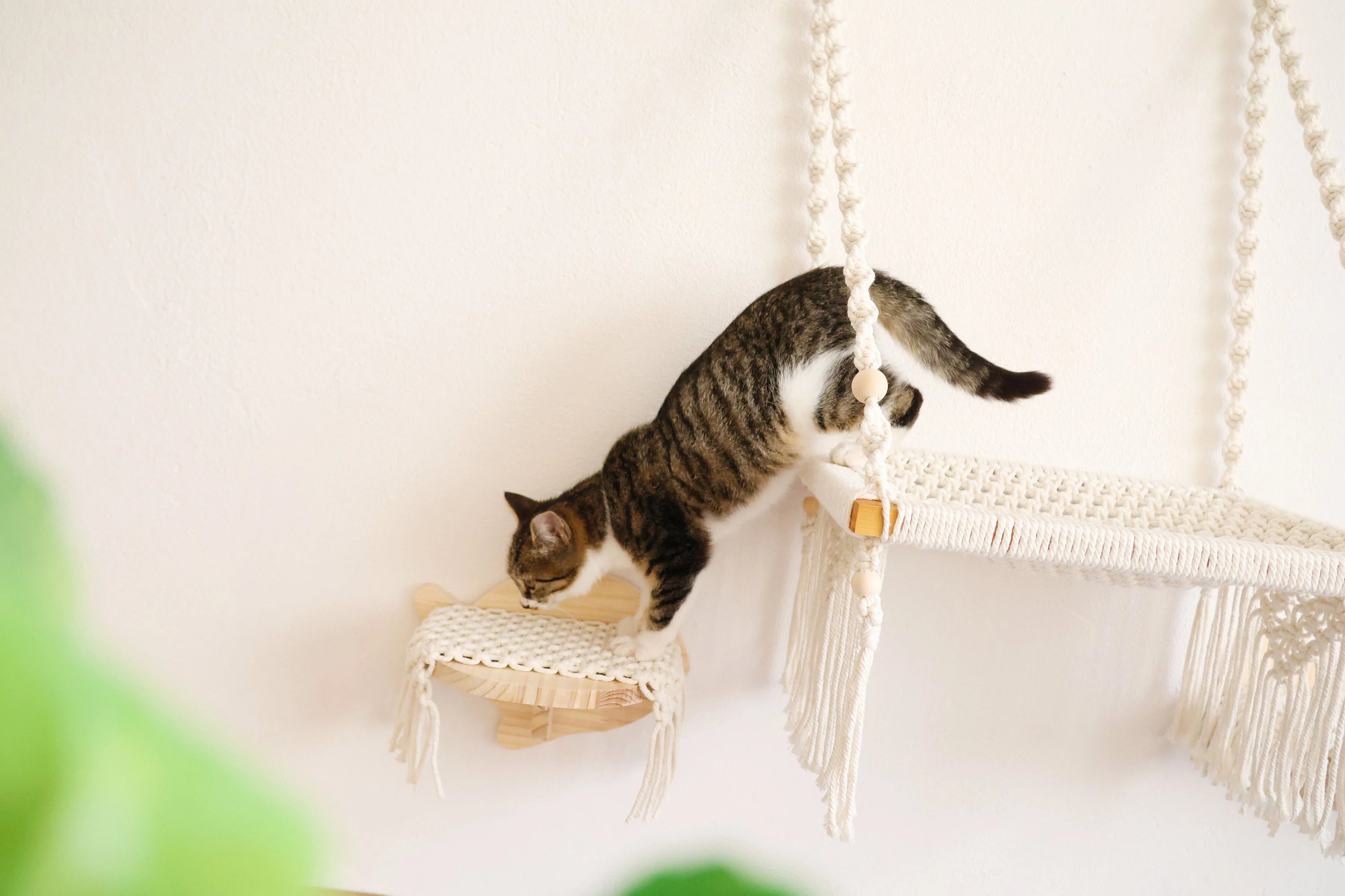 Cat Wall Steps with Macrame Mat, Solid wood Cat wall steps/wall Shelf/Cat wall furniture/Cat Tree, Cat wall bed/hammock accessory