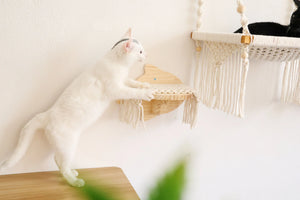 Cat Wall Steps with Macrame Mat, Solid wood Cat wall steps/wall Shelf/Cat wall furniture/Cat Tree, Cat wall bed/hammock accessory