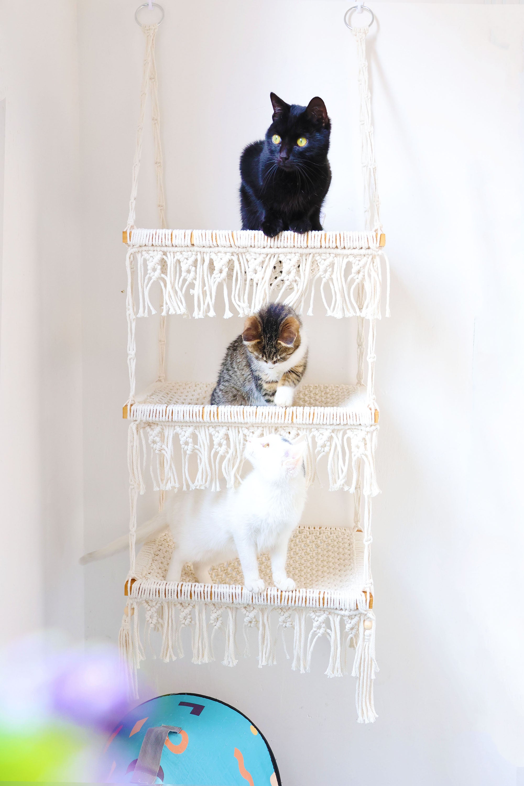 3 tiers Cat Wall Bed/Cat Furniture/Cat Tree/Cat House, Macrame Cat Hammock/Pet Swing bed/shelves, Boho Home Decor/wall hanging