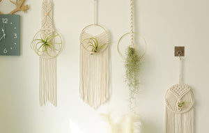 Macrame Air Plant holder, Stylish Bohemia air plant display hanger,Boho wall hanging home decor