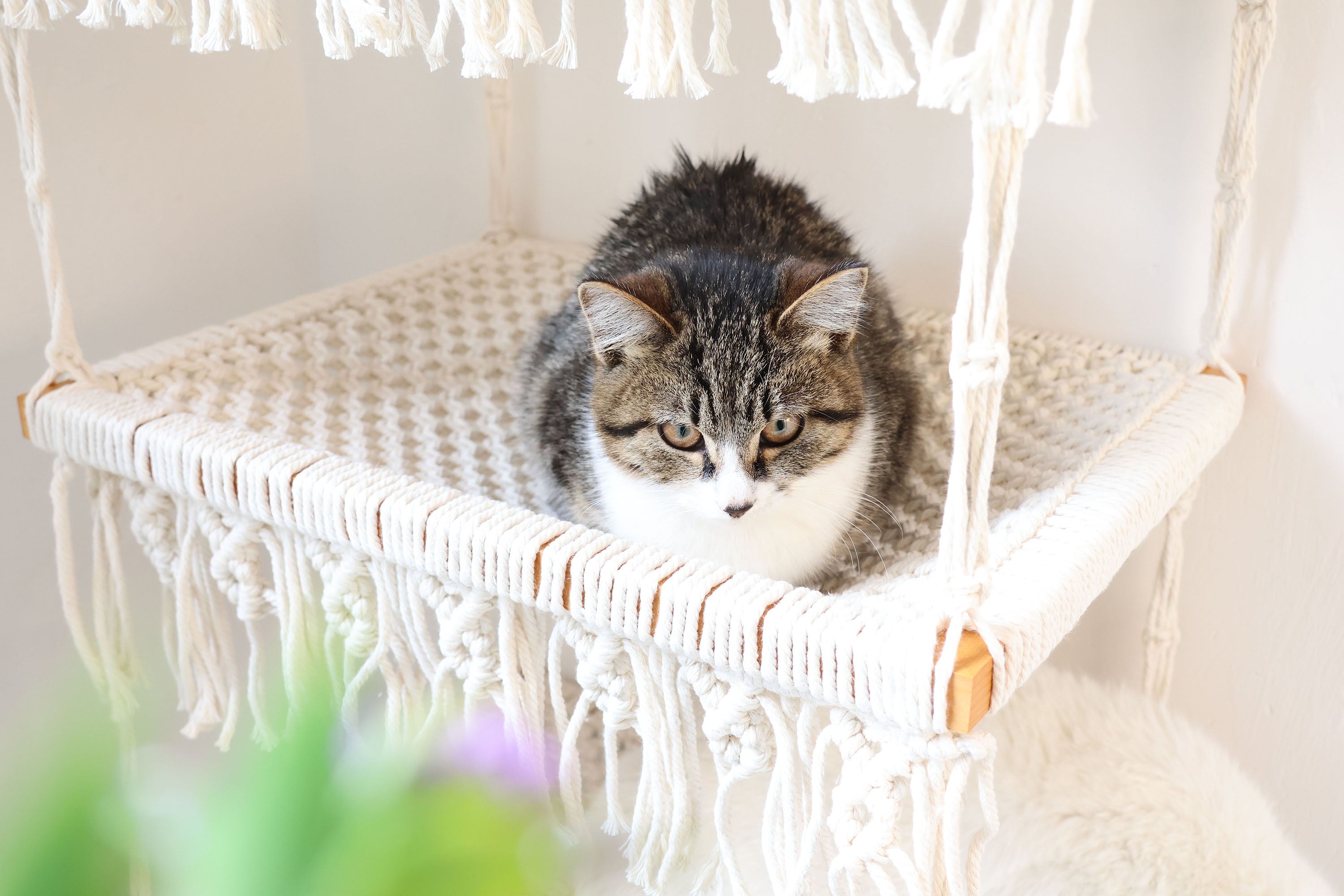 3 tiers Cat Wall Bed/Cat Furniture/Cat Tree/Cat House, Macrame Cat Hammock/Pet Swing bed/shelves, Boho Home Decor/wall hanging