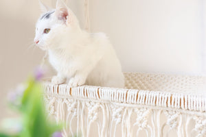 3 tiers Cat Wall Bed/Cat Furniture/Cat Tree/Cat House, Macrame Cat Hammock/Pet Swing bed/shelves, Boho Home Decor/wall hanging