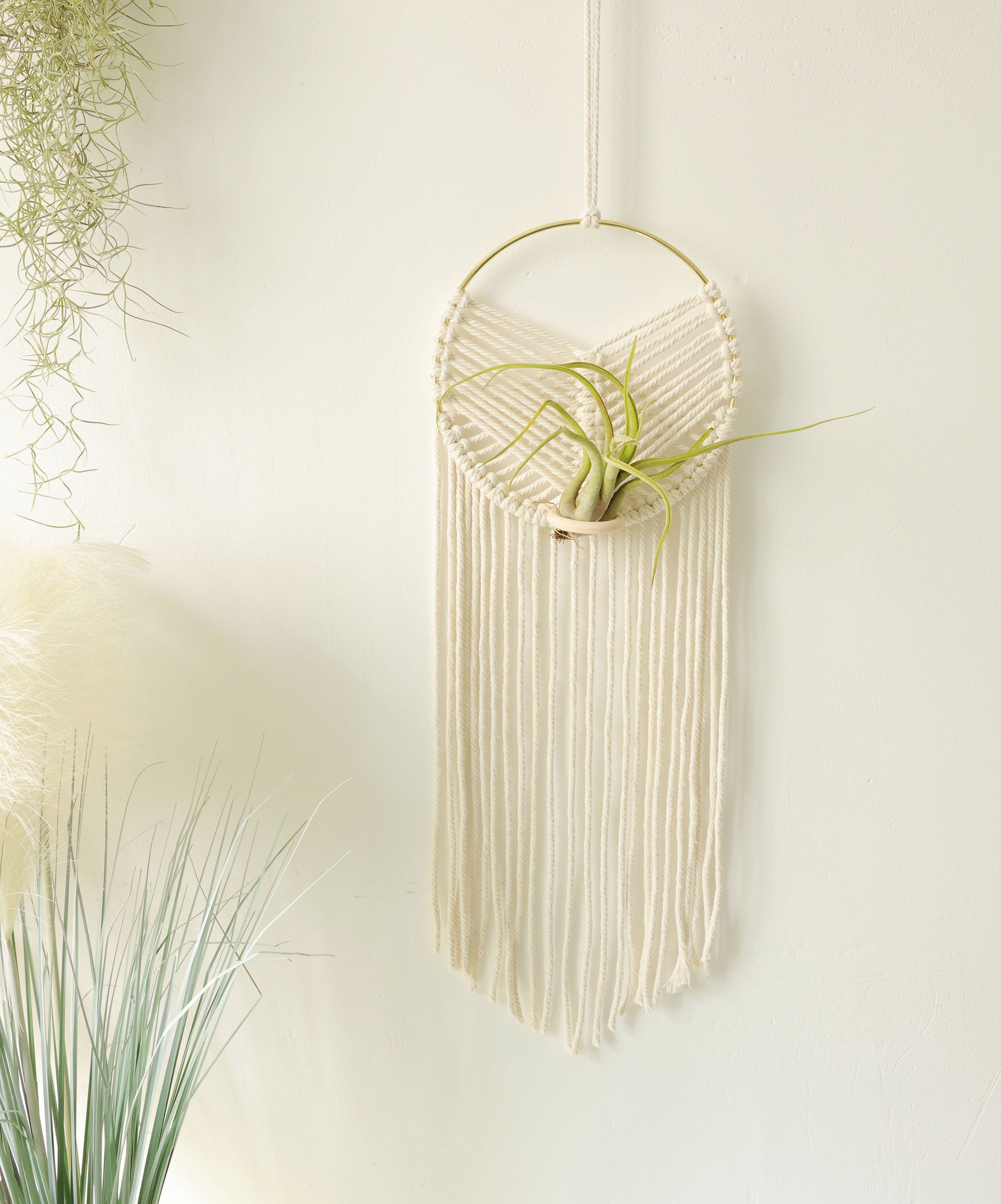 Bohemian Decor Air Plant Hanger Indoor Macrame Wall Holder