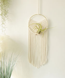 Macrame Air Plant holder, Stylish Bohemia air plant display hanger,Boho wall hanging home decor