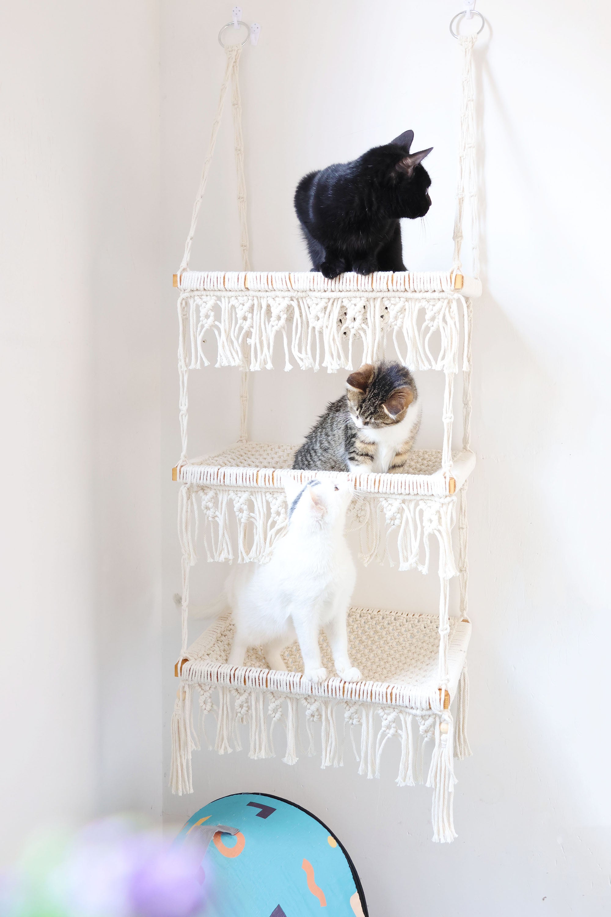 3 tiers Cat Wall Bed/Cat Furniture/Cat Tree/Cat House, Macrame Cat Hammock/Pet Swing bed/shelves, Boho Home Decor/wall hanging