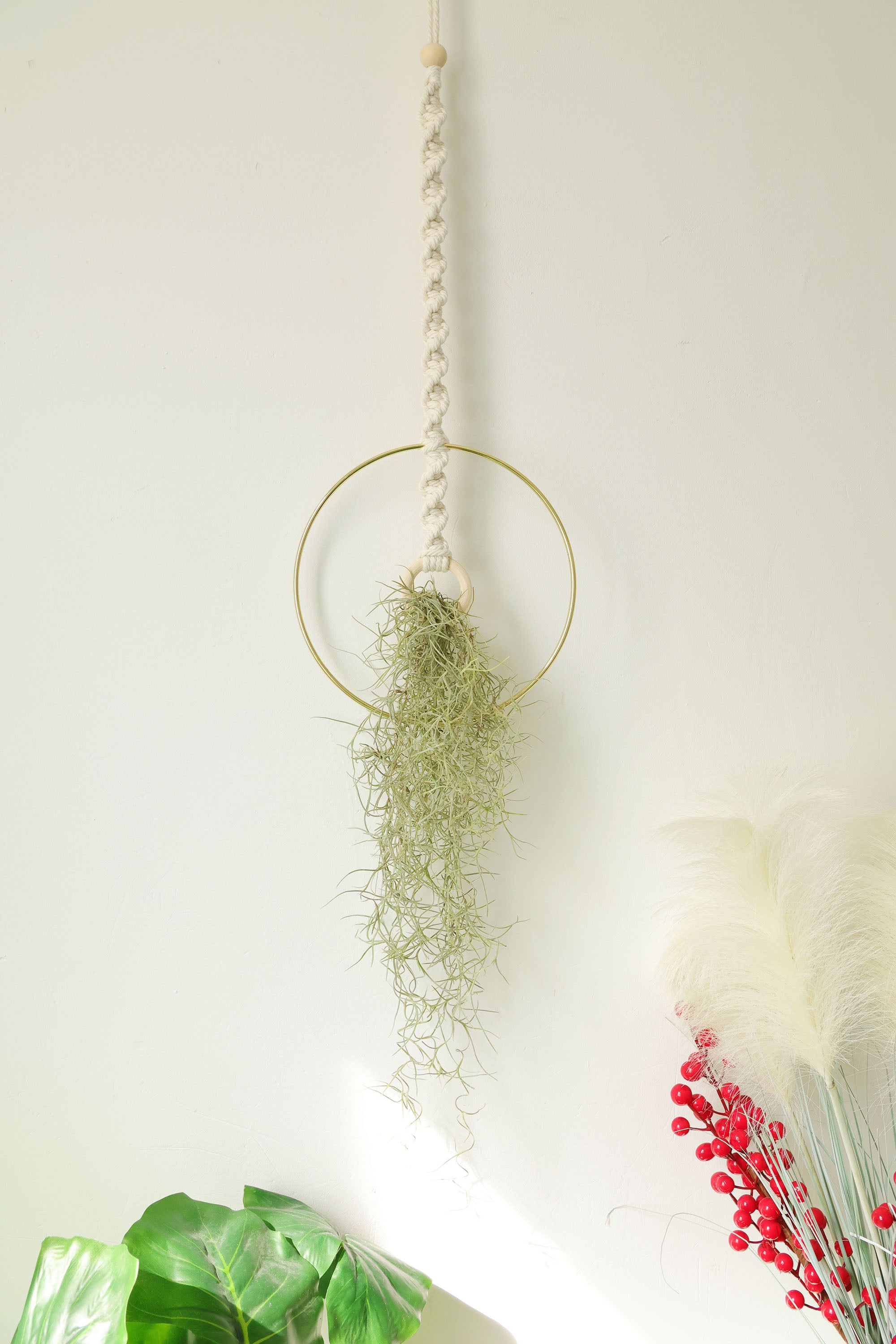 Macrame Air Plant holder, Stylish Bohemia air plant display hanger,Boho wall hanging home decor