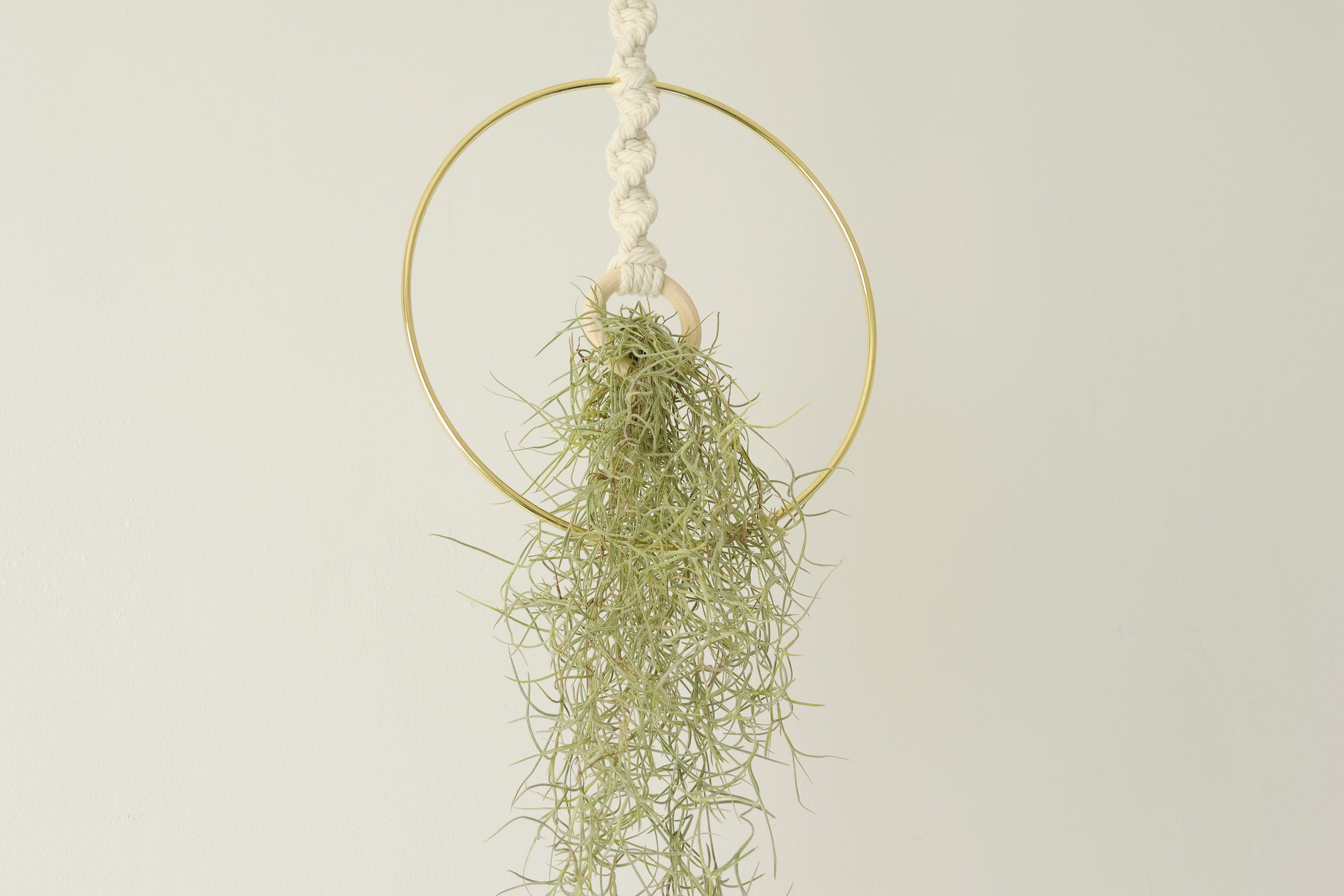 Macrame Air Plant holder, Stylish Bohemia air plant display hanger,Boho wall hanging home decor