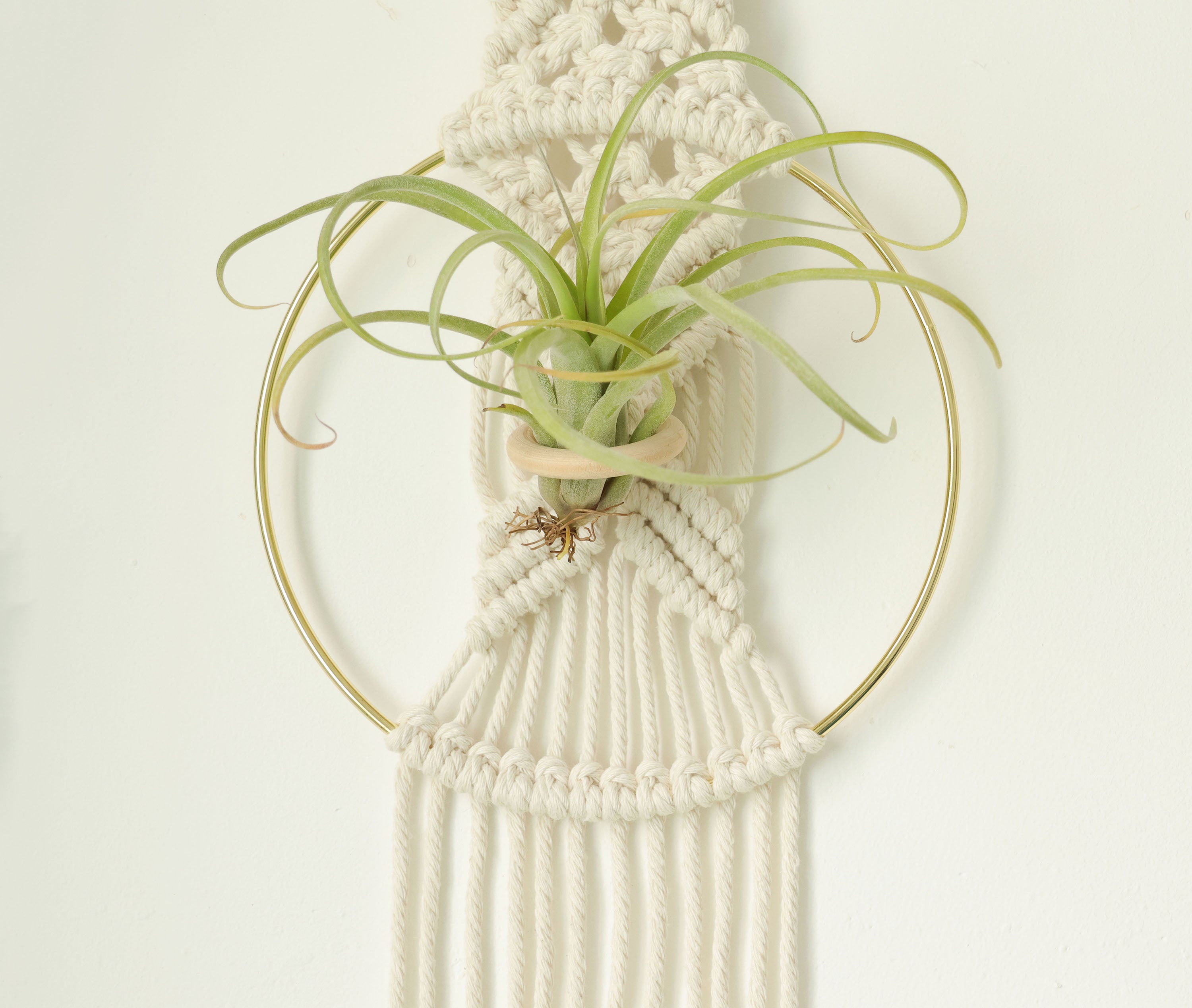 Macrame Air Plant holder, Stylish Bohemia air plant display hanger,Boho wall hanging home decor