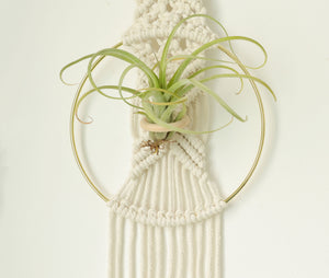 Macrame Air Plant holder, Stylish Bohemia air plant display hanger,Boho wall hanging home decor