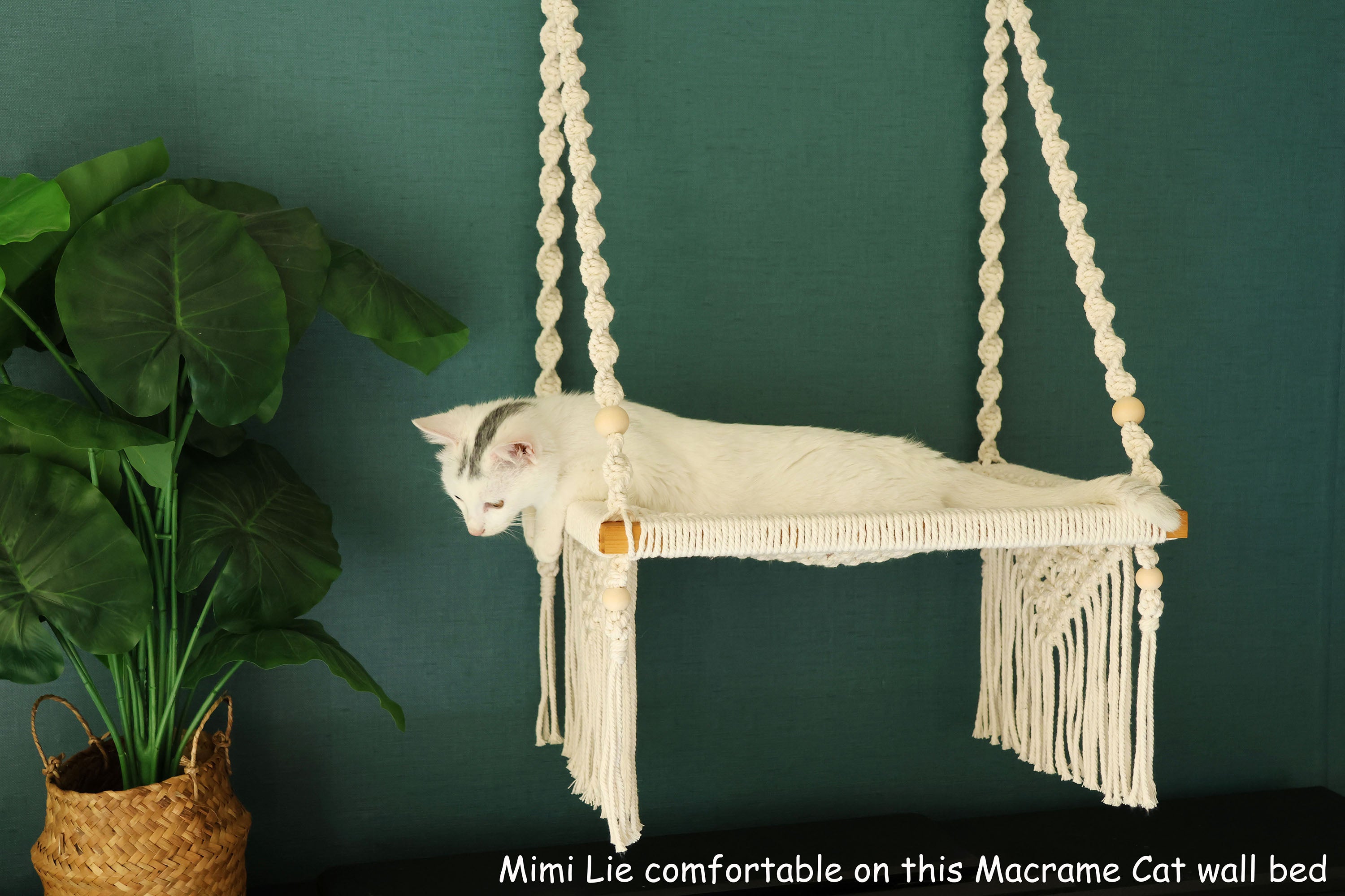 Macrame Cat wall furniture/wall bed , Cat hammock for window, hand woven pet swing bed, Boho cat wall hanging house