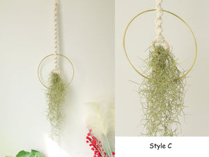 Macrame Air Plant holder, Stylish Bohemia air plant display hanger,Boho wall hanging home decor